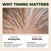 Help reverse premature grey hair and support stronger growth
