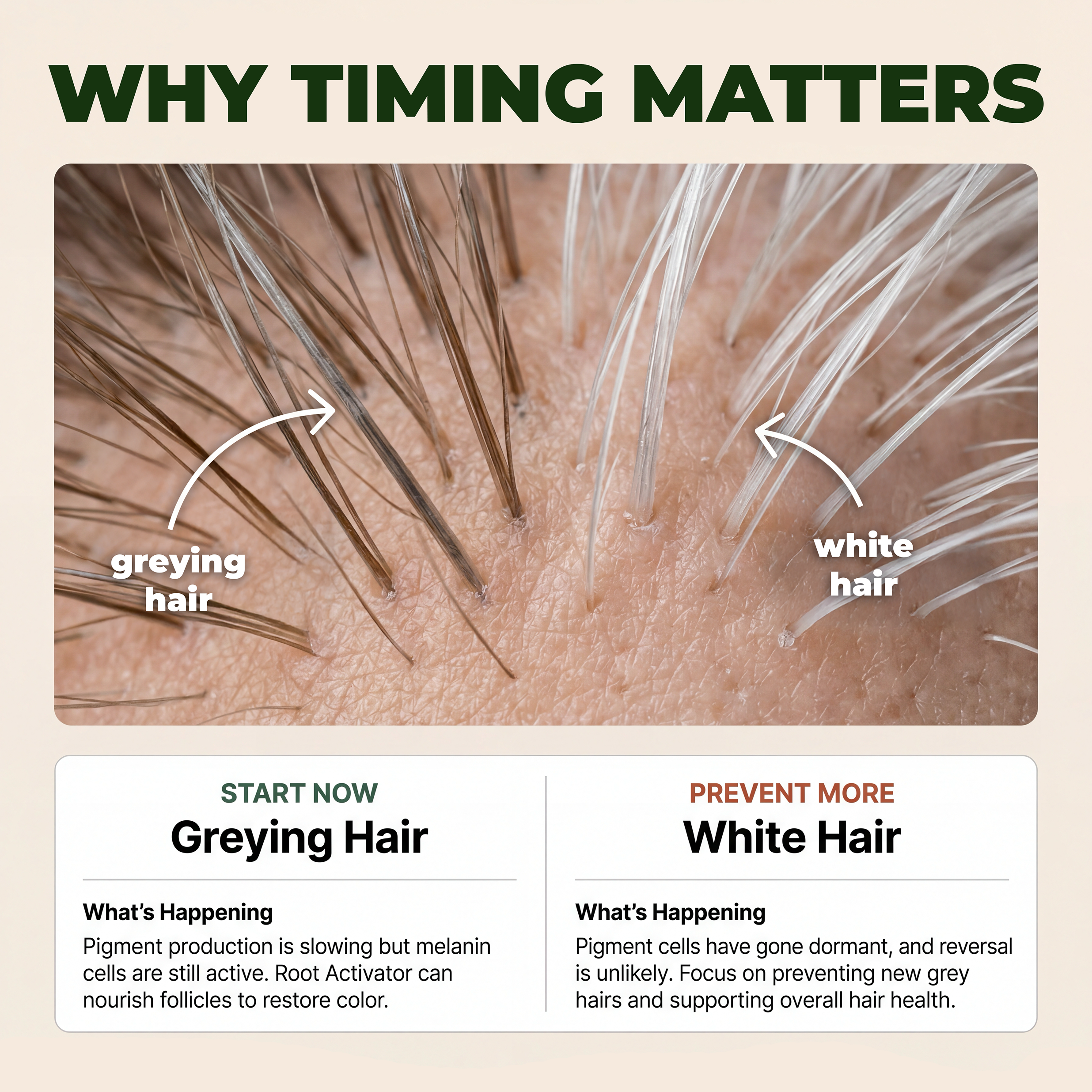 Help reverse premature grey hair and support stronger growth